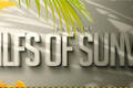 A2308 - 徐娘半老 Milfs Of Sunville Season2 V10.01.20250829-PC+安卓 免安装中文版[14.9GB]